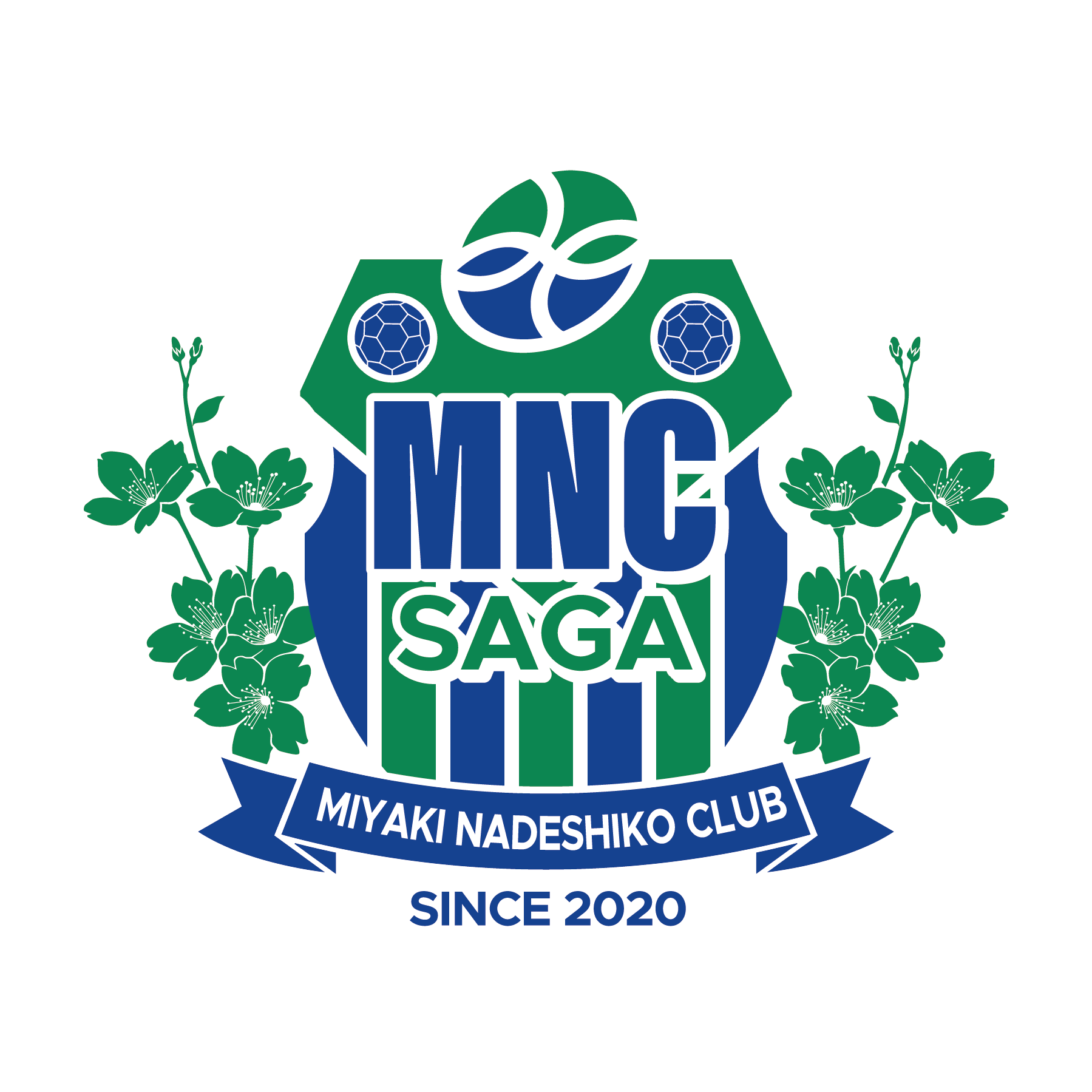 みやきなでしこクラブ